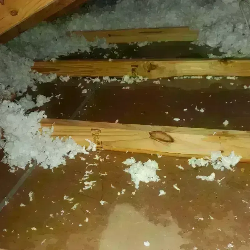 Attic Water Damage in Pima County, AZ