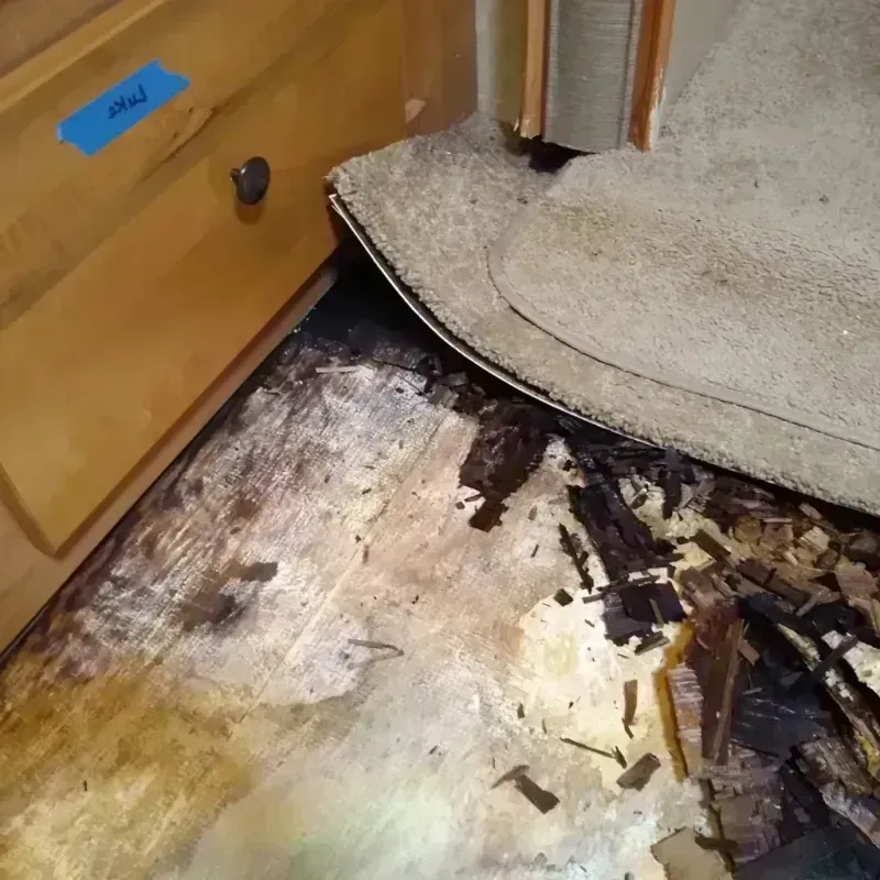 Wood Floor Water Damage in Pima County, AZ